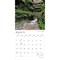 BrownTrout; Indiana Wild & Scenic | 2027 12 x 24 Inch (Hanging) Monthly Square Wall Calendar | Plastic-Free; Category:Wall Calendars; Image:4